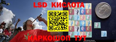 шишки Заводоуковск