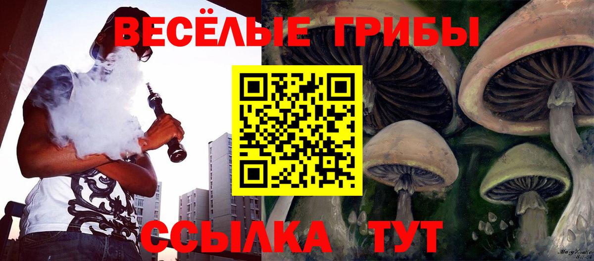 Миллерово  Галлюциногенные грибы Cubensis  Вход с VPN  Галлюциногенные грибы Cubensis 