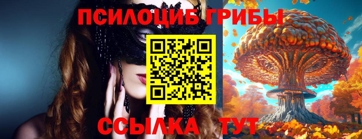 Псилоцибиновые грибы мицелий Миллерово